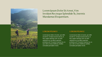 农业 优雅的ppt模板_13