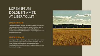 农业 优雅的ppt模板_14