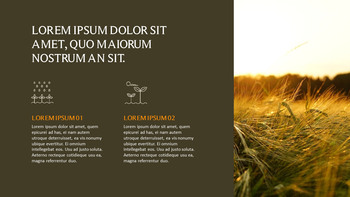 农业 优雅的ppt模板_15