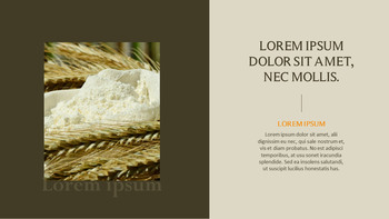 农业 优雅的ppt模板_17