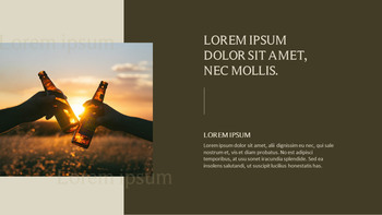 农业 优雅的ppt模板_18