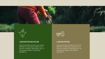 农业 优雅的ppt模板_27