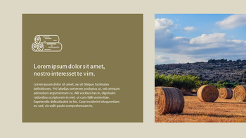 农业 优雅的ppt模板_28