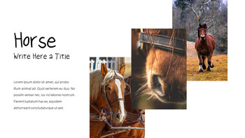 Cattle Farm Business PowerPoint Templates_07