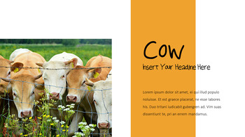 Cattle Farm Business PowerPoint Templates_18