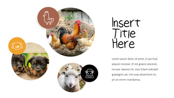 Cattle Farm Business PowerPoint Templates_21