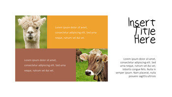 Cattle Farm Business PowerPoint Templates_33