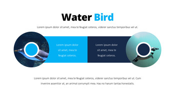 펭귄 프레젠테이션 PowerPoint 템플릿 디자인_08