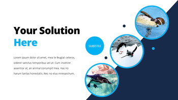 펭귄 프레젠테이션 PowerPoint 템플릿 디자인_09