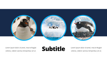 펭귄 프레젠테이션 PowerPoint 템플릿 디자인_11