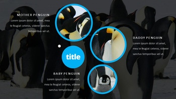 펭귄 프레젠테이션 PowerPoint 템플릿 디자인_18
