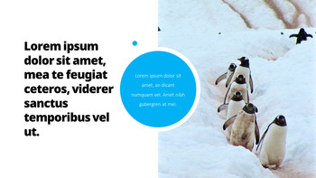 펭귄 프레젠테이션 PowerPoint 템플릿 디자인_23