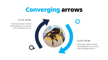 펭귄 프레젠테이션 PowerPoint 템플릿 디자인_36