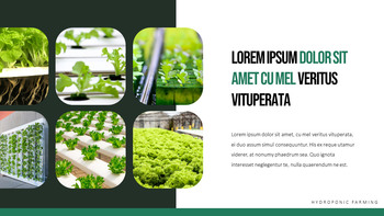 수경 원예 피피티 템플릿 샘플 디자인_04