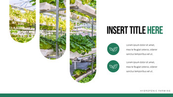 수경 원예 피피티 템플릿 샘플 디자인_06