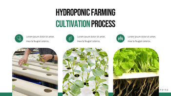 수경 원예 피피티 템플릿 샘플 디자인_08