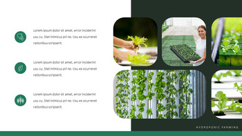 수경 원예 피피티 템플릿 샘플 디자인_14