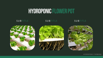 수경 원예 피피티 템플릿 샘플 디자인_17