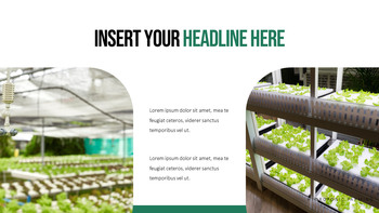 수경 원예 피피티 템플릿 샘플 디자인_19