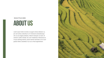 水稻梯田 功率点PowerPoint._05