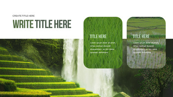 水稻梯田 功率点PowerPoint._14