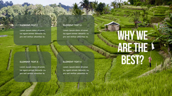 水稻梯田 功率点PowerPoint._15