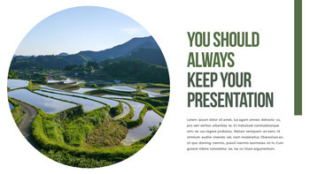 水稻梯田 功率点PowerPoint._20