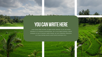 水稻梯田 功率点PowerPoint._25