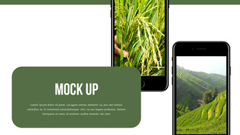 水稻梯田 功率点PowerPoint._39