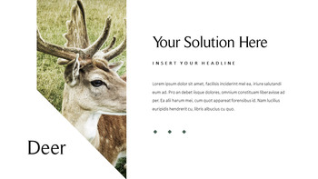 鹿 会社プロファイルテンプレートのデザイン_09