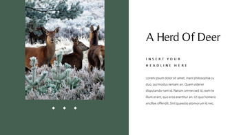 鹿 会社プロファイルテンプレートのデザイン_10