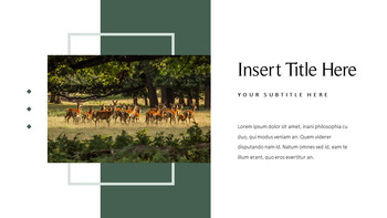 鹿 会社プロファイルテンプレートのデザイン_11