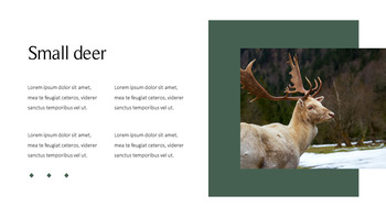 鹿 会社プロファイルテンプレートのデザイン_23