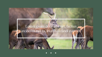 鹿 会社プロファイルテンプレートのデザイン_26