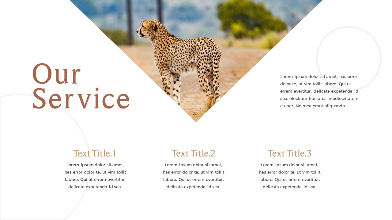 Safari Powerpoint Background