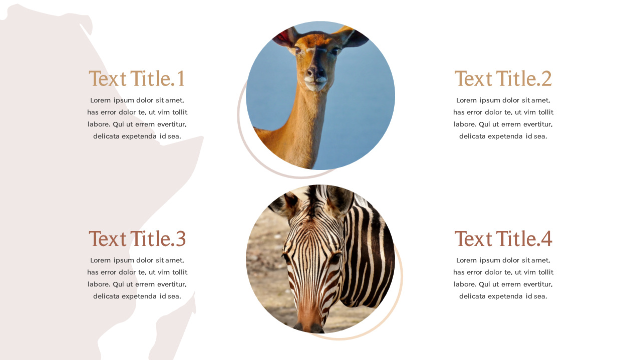 safari-animals-presentation-slides-ppt-lifestyle-temp-vrogue-co