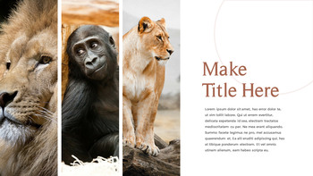 野生动物 演示文稿幻灯片PPT._11