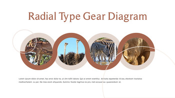 野生动物 演示文稿幻灯片PPT._27