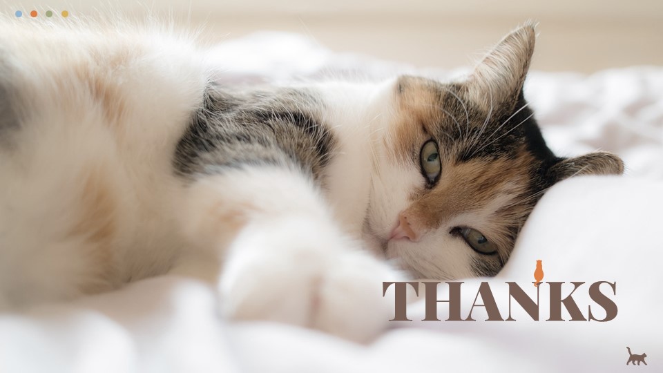 Cat Google Slides Templates for Your Next Presentation