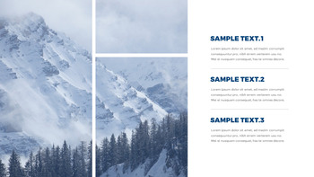 冬天 PowerPoint演示设计_14