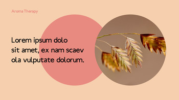 아로마 테라피 ppt 템플릿_07