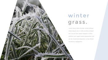 Winter Grass Presentation PowerPoint_12