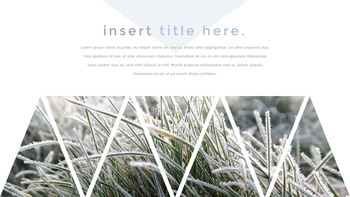 Winter Grass Presentation PowerPoint_26