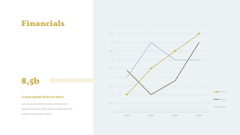 Financial File Layout Financials Template Layout|Single Slides