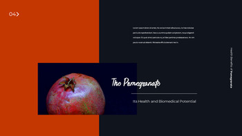 몸에 좋은 석류 프레젠테이션 템플릿 디자인_04