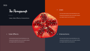 몸에 좋은 석류 프레젠테이션 템플릿 디자인_06