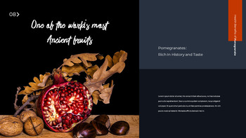 몸에 좋은 석류 프레젠테이션 템플릿 디자인_08