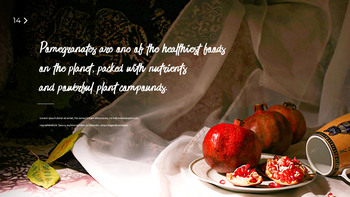 몸에 좋은 석류 프레젠테이션 템플릿 디자인_14