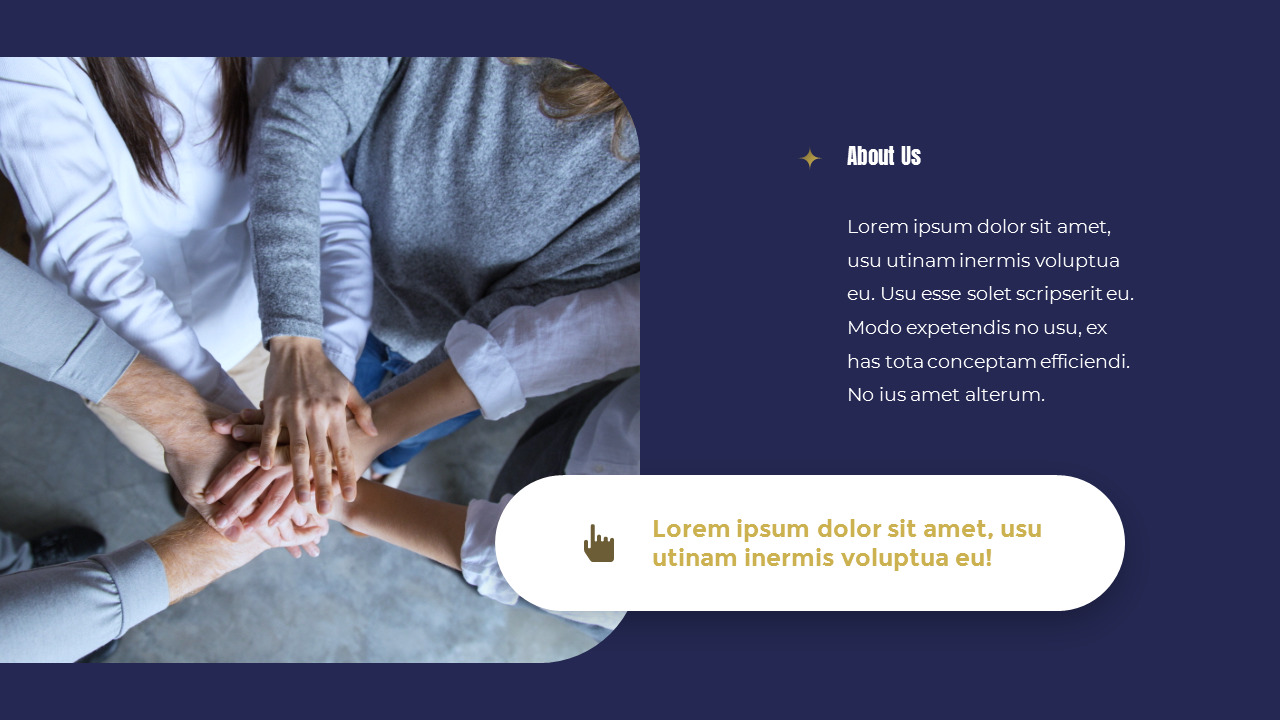 About Us Template PageOverviewSingle Slides