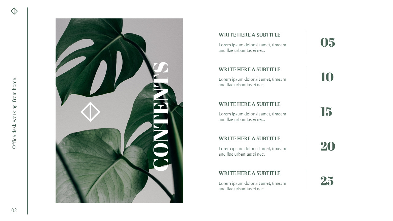 Office Desk Professional PPT